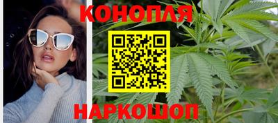 стафф Михайловск