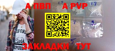 шишки Абакан