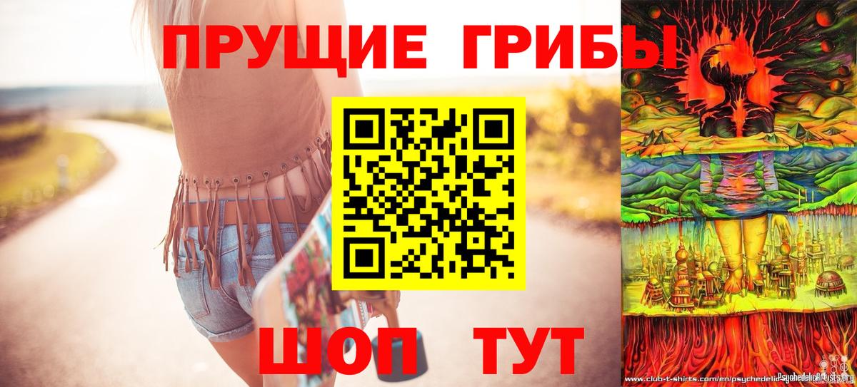 Абинск  Псилоцибиновые грибы Psilocybe  Вход с VPN  Галлюциногенные грибы Cubensis 